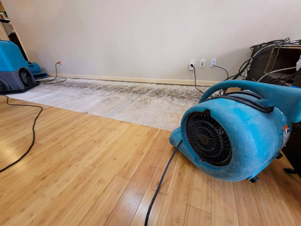 Professional Water Damage Repair technician working in Greenland, AR
